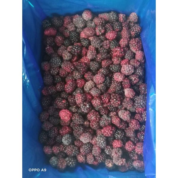 Wholesale Bulk IQF Sweet Blackberry Freezing Delicious Frozen Blackberry