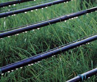 Ширина 50мм толщины 0.2мм шланга спринклера полива земледелия пластиковая