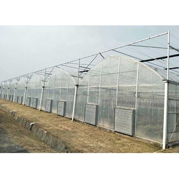 Minimal Spangle Aluzinc Coated Steel For Vending Machines And Barns 30-1500 mm Width