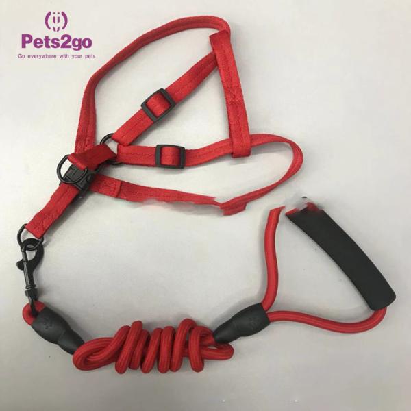 S Size Nylon Stocked 500cm*1cm Dog Leash Rope