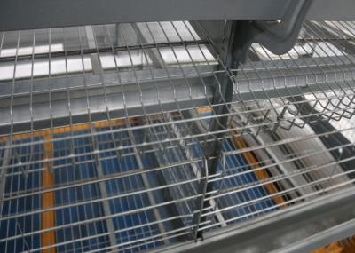 120 Birds Chicken Poultry Cage High Carrying Capacity Enriched Cages For Laying Hens