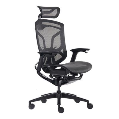 Ergonomic Office Chair With Adjustable Seat Depth  Ergo Sit High Back Mesh Chair