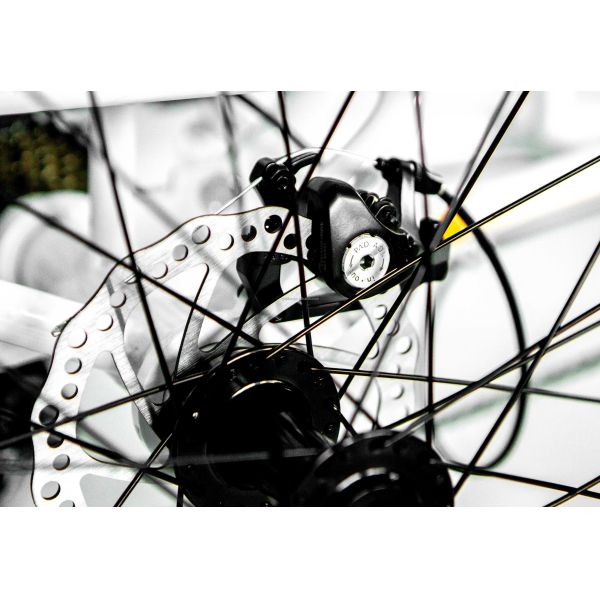 48V 14AH Rear Basket 4.0 Snow Tire Electric Cargo Tricycle with USA CE Certification