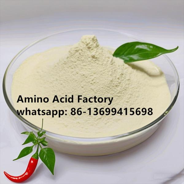 Non-GMO Soybean Source With Light Yellow Amino Acid Powder 90%  To Be Highly Effective In Promoting Plant Growth And Health