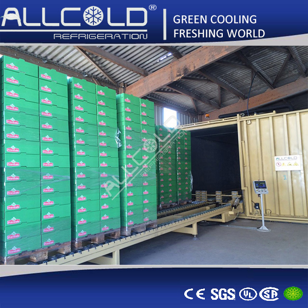 Cut Flower Vacuum Cooling Equipment