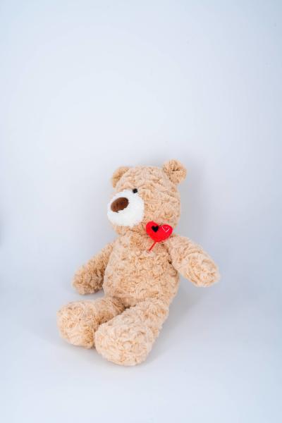 Ours en peluche animal fourre-tout, faible MOQ Tissu en peluche super doux Cuddly, en peluche personnalisé