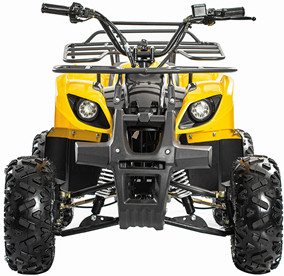 Électrique jaune tout le passager du terrain ATV UTV tout le véhicule utilitaire de terrain