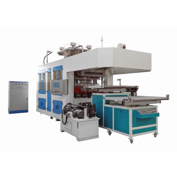 Disposable Molded Pulp Machine To Make Cosmetic Package Product