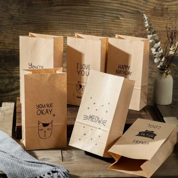 Custom Printed Kraft Gift Bags Eco Friendly Packaging