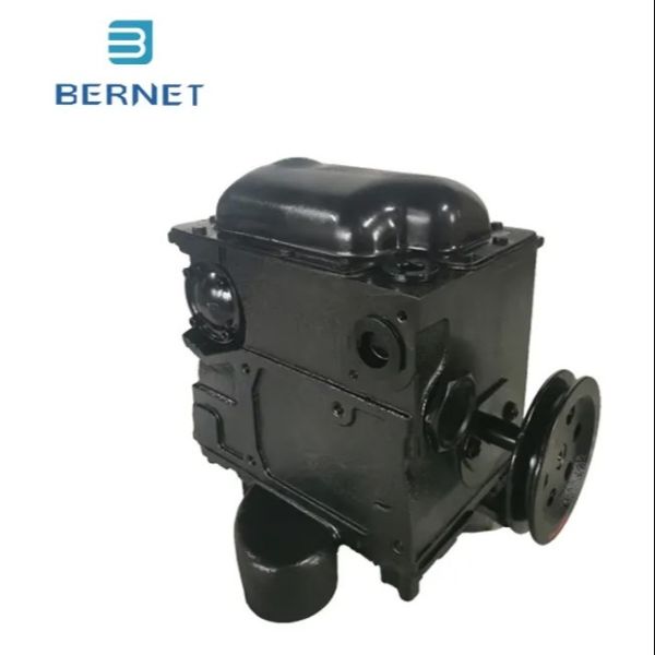 Bernet High Speed Cast Iron Tokheim Type Gear Pump for Fuel Dispenser