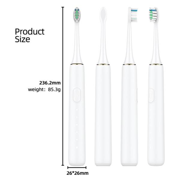 31200VPM IPX7 Adult Electric Toothbrush Oral Care Type-C Rechargeable