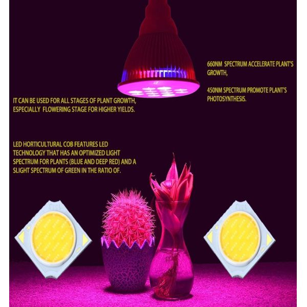 Élevez la puce de l'ÉPI 450nm 660nm LED 4W de l'usine de Phenson 14X14MM élevant la lumière vert clair de Chambre