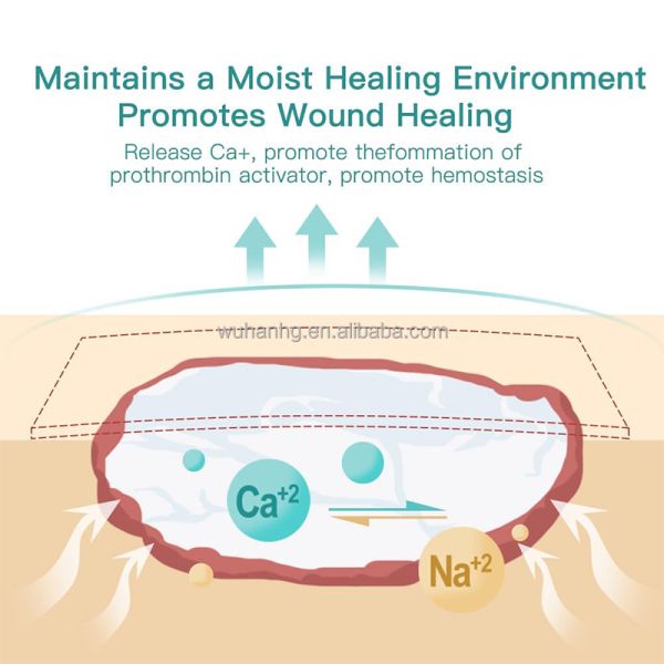 High Absorbency Calcium Alginate Dressing 10x10 For Hospital Wound Care