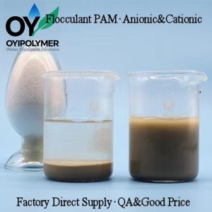 Flocculant Cationic Polyacrylamide (CPAM) for Livestock and Pig Feed Mills