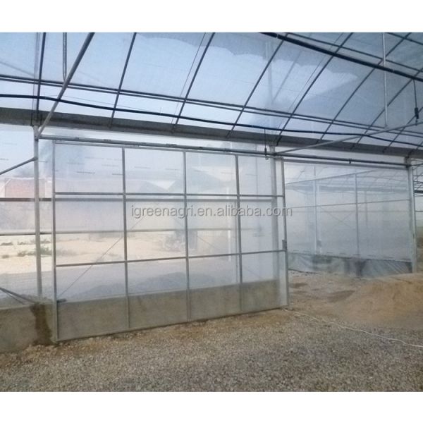 Small Column Reinforced Rod Wind Resistant Vent Window Rain Gutter Single PE Multi Span Film Greenhouse for Vegetable Flower