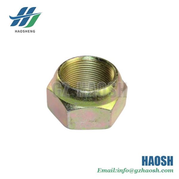 Pour l'Isuzu 700P 4HG1 FVR34