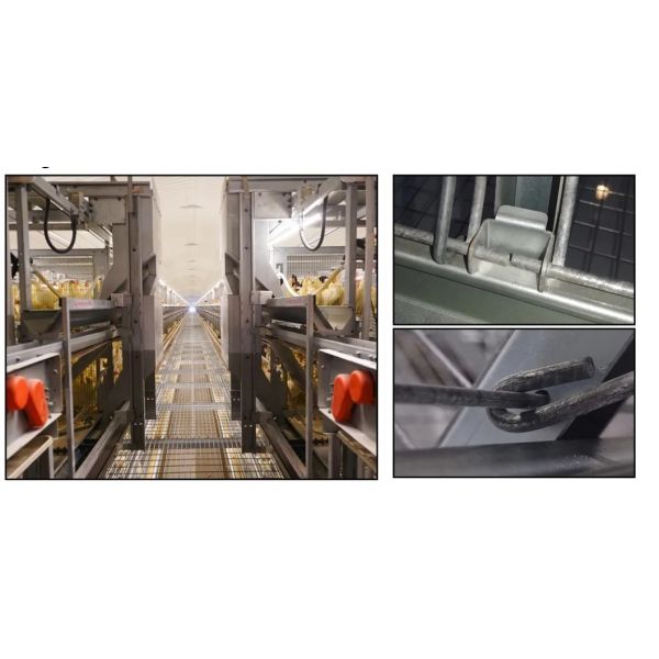 High Quality Full Automatic Poultry House Machinery with Corrosion Resistant Hot Dip Galvanised Steel and Automatic Feeding System