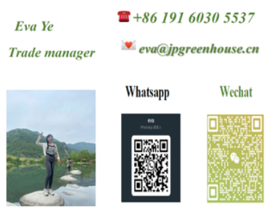 3*6*2m Aluminum Polycarbonate Sheet Greenhouse Single Span