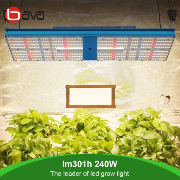 Horticultural LM301H Samsung LED Indoor Grow Lights For Vegetables 240W