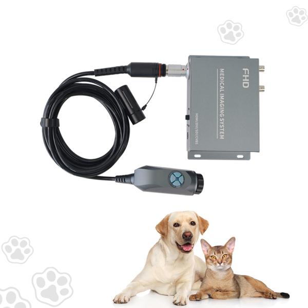 Caméra médicale endoscopique rigide HDMI 1080P portable pour animaux de compagnie et vétérinaires
