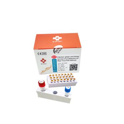 Jogo ácido nucleico infeccioso da detecção do jogo IMNV da amplificação do ADN do vírus da mionecrose