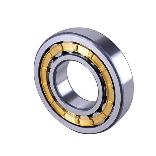 GCr15 Double Row SL014838 Cylindrical Roller Bearings