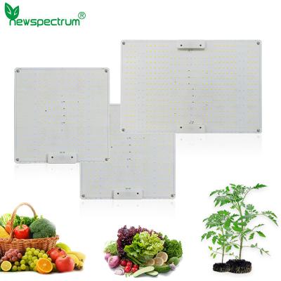 High Brightness Horticulture SMD Chip 5000K Circuitry Design Led Grow Light