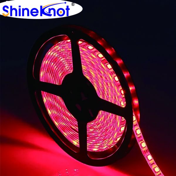 Outdoor Customizable 72W Led Strip with 25000 Working Hours and Waterproof Design