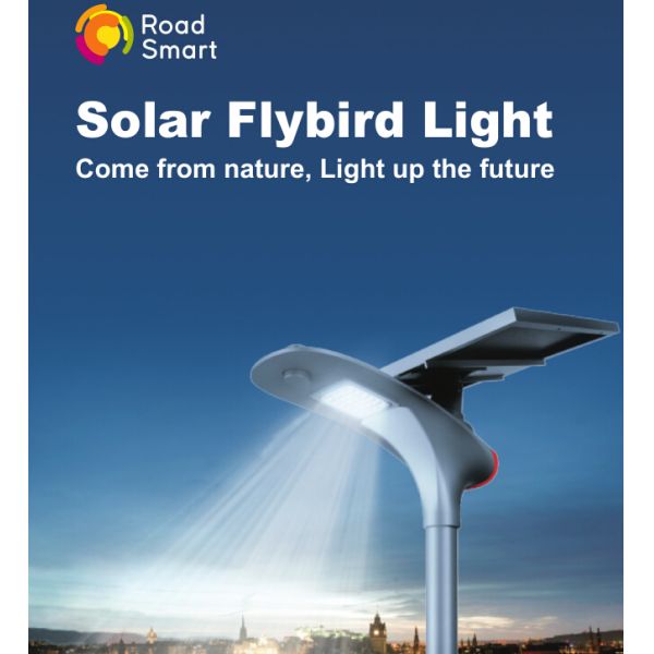 210lm/W Solar Powered Led Street Lights , Led Solar Street Light With Motion Sensor