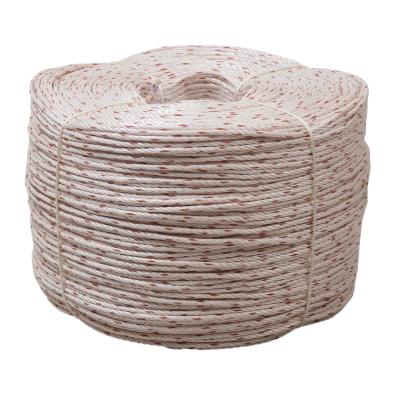 PP Danline Rope  8 Strand Twisted Rope For Fishing, Netting And Multi-Purposes