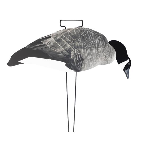 OEM ODM Plastic EVA Canada Snow Goose Decoy Upright / Feeder Style With Flocked Head