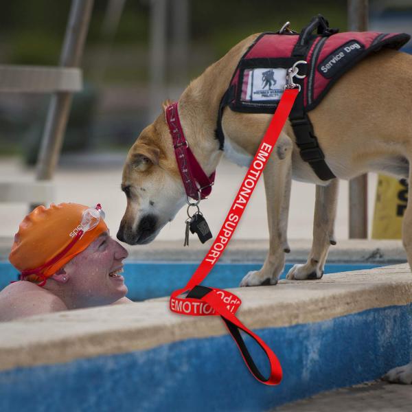 Identificação fácil da trela reflexiva impermeável do cão na polegada 150cm da noite 59