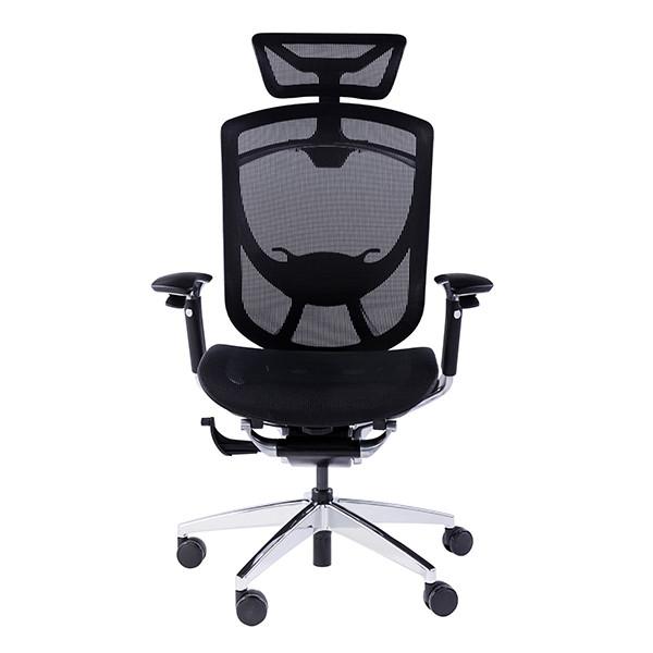 Headrest Adjustable IFIT Office Chair Ergonomic Desk Chair High Back Swivel Chairs