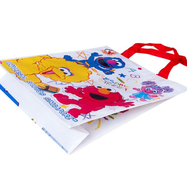 120GSM Laminated Non Woven Bag