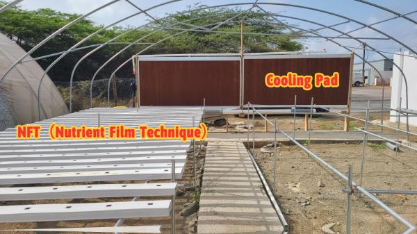 Greenhouse 200 micro PE Film Growing House Ventilated Serre Agricole Polytunnel Greenhouse