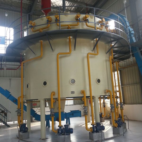 Rice Bran Oil Making Machinery Commercial Rotocel Extractor Seed Oil Press Machine Groundnut Oil Extraction Machine