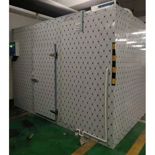 Promotional Cold Room Beef / Chicken / Fish Storage Walk In Freezer