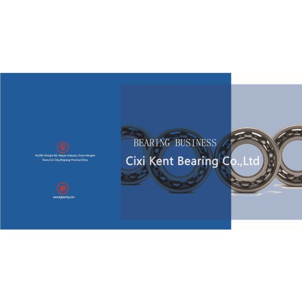 Deep Groove Ball Bearing 6001 RS Zz 12X28X8mm Single Row and Low Noise for Russia Market
