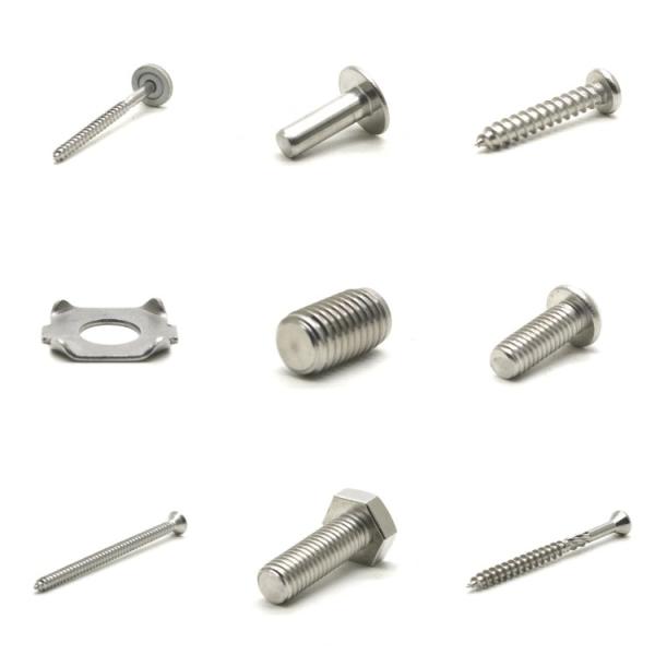 Custom Non Standard Fasteners Stainless Bolts Screws Rivets Nails