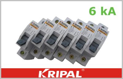 Mini Circuit Breaker Single Pole  Double poles three poles four poles Customized 1,3,6,10,16,20,25,32,40,50,63A