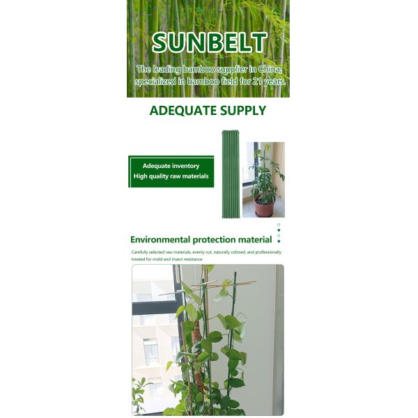 Green Plastic Coated Metal Plant Stakes for Garden Plant Support and Climbing Plants
