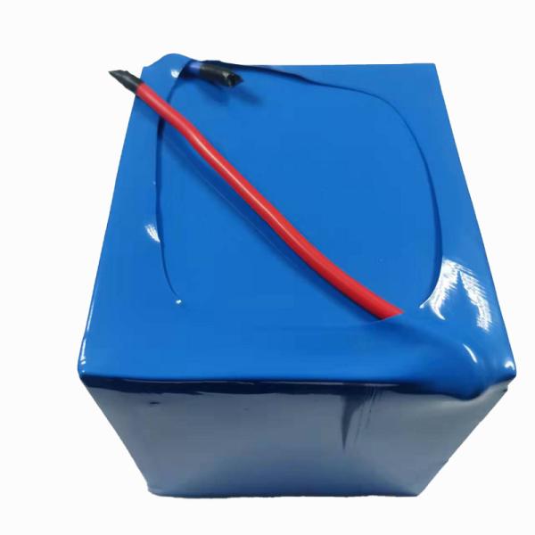 Custom Energy Storage Lithium Iron Phosphate Battery Pack 12V 50A