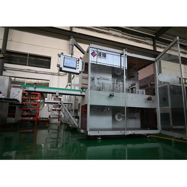 Stainless Steel Fully Automated Sterile Cartoning Machine with CE GMP ISO Compliance for Blister Packaging