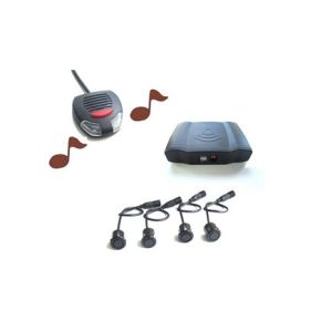 Parking Assist System