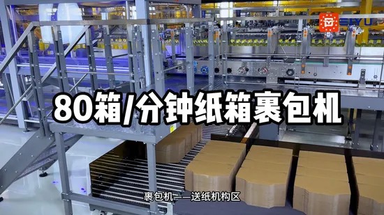 Automatic Wrap Around Case Packer for Beverage Production Line with Fully Wrapped Winding and No Pallet Design