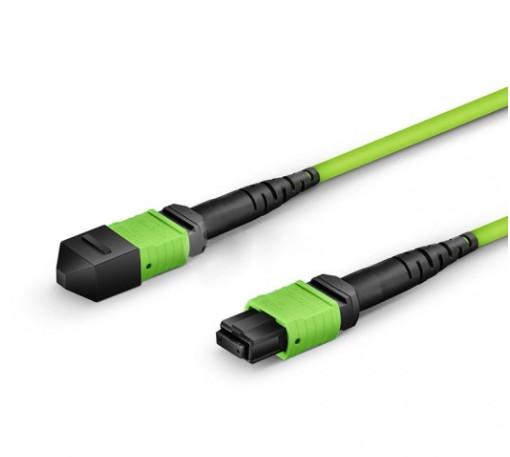 Female To Female OM5 MTP MPO Fiber Cable 12 Fibers Type B Plenum OFNP