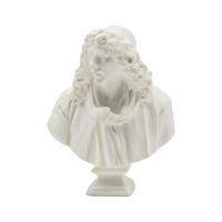 Photosensitive Resins SLA SLS 3D Printing Statue Customized