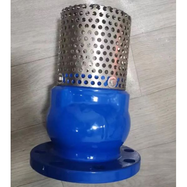 GGG50 H42X cast iron flanged foot valve manufacturer in China