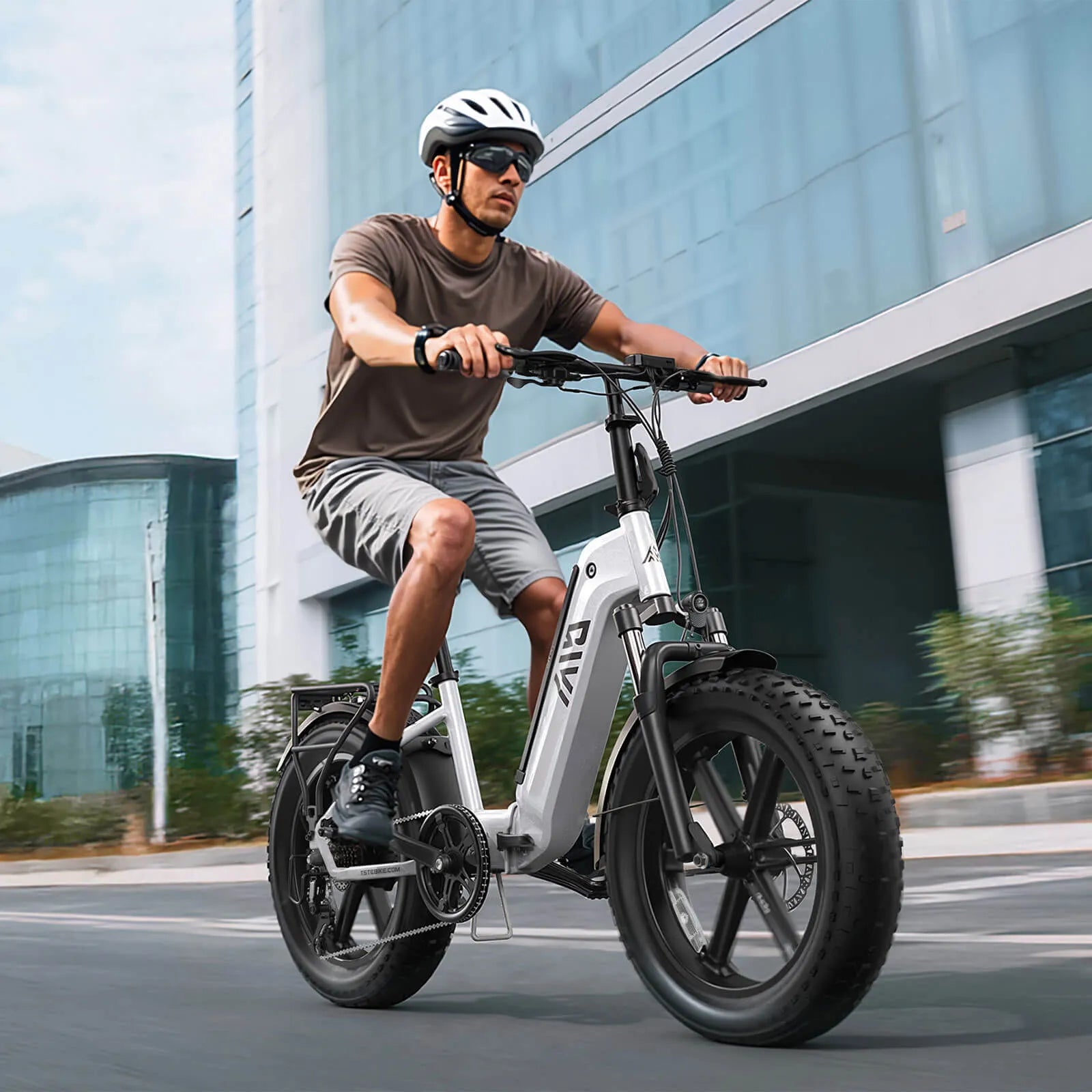 Hot Selling TST 250W Powerful Steel Frame Electric Hybrid Folding Bike for Teens Electric Bike Adults Bicicleta Foldable Ebike