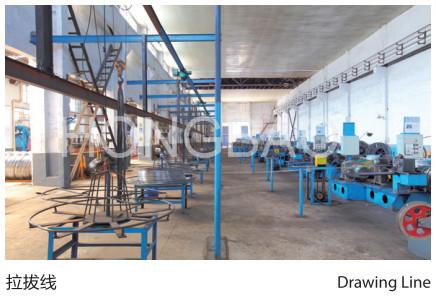 Jiangsu Hongbao Group Co., Ltd.